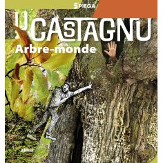 Spiega ! U castagnu