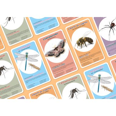 Quattru è tre insetti