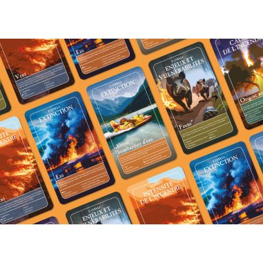 Feux de forêts - Jeu de 7 famille