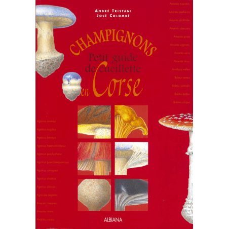 Champignons