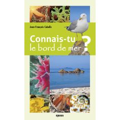 Connais-tu le bord de mer ?