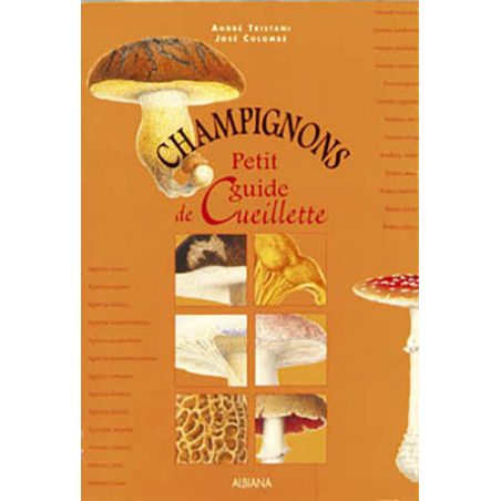 Champignons