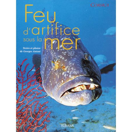 Feu d’artifice sous la mer