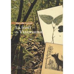 La forêt de Vizzavona