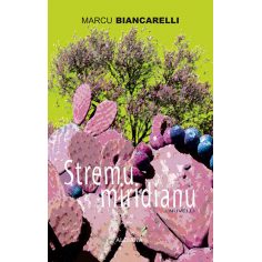 Stremu miridianu