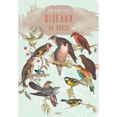 Oiseaux de Corse