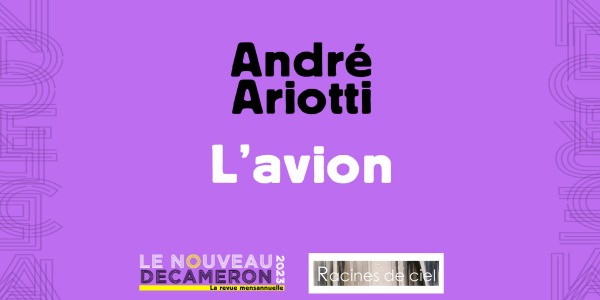 André Ariotti - L'avion