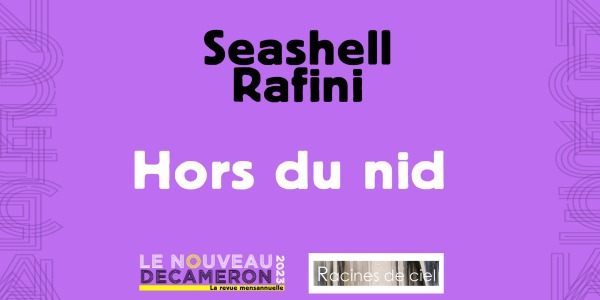 Seashell Rafini - Hors du nid