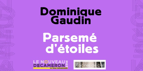 Dominique Gaudin - Parsemé d'étoiles
