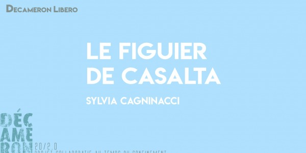 Le figuier de Casalta - Sylvia Cagninacci