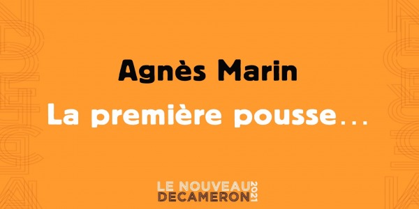 La première pousse… - Agnès Marin
